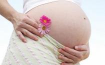 孕前饮食能影响胎儿性别？