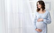 孕期饮食清单：孕前期吃什么？