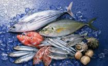 五种常吃的鱼的营养价值