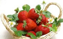 盘点草莓的5大营养价值