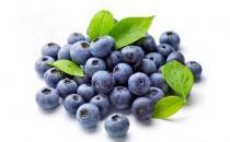 蓝莓是减肥好帮手 蓝莓的减肥吃法