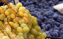 葡萄被誉为水果中的溶栓之王 不同品种功效大不相同