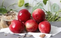 桃子是肺之果烂了一点是否能吃 桃子健康吃法与禁忌
