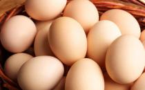 经常吃鸡蛋身体或会收获厚礼 辨别好坏鸡蛋的方法