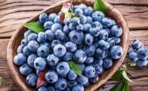吃蓝莓的各种利与弊 新鲜蓝莓的10种美味吃法